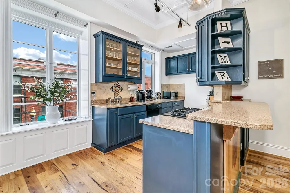 35 Patton Avenue #202 Asheville, NC 28801