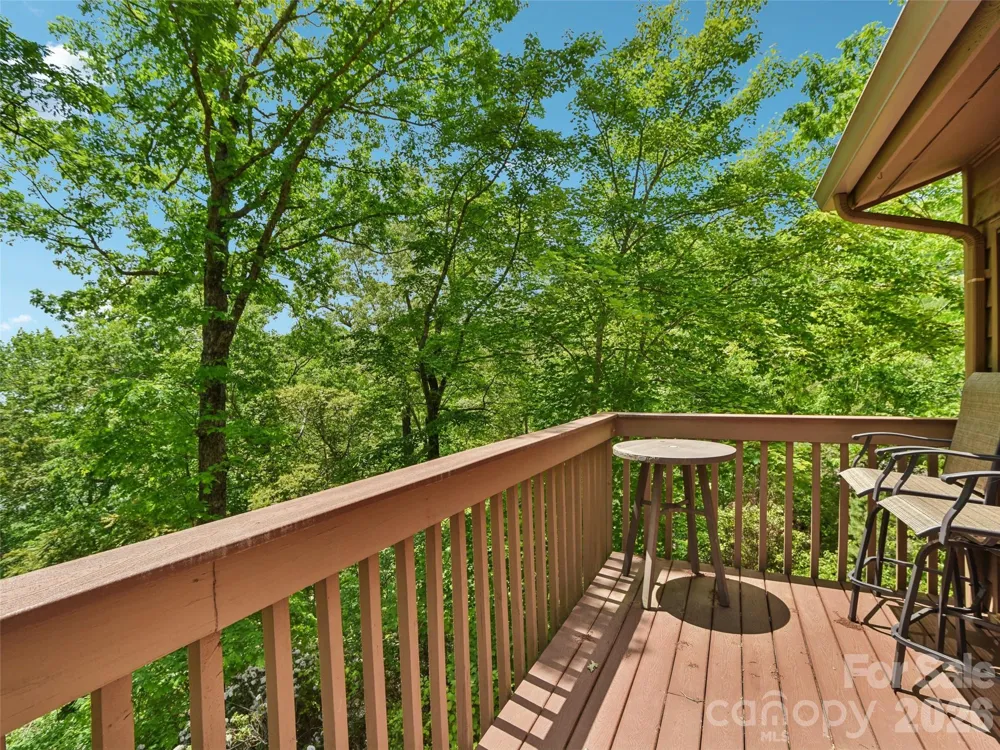 155 Quail Cove Boulevard #1601 Lake Lure, NC 28746