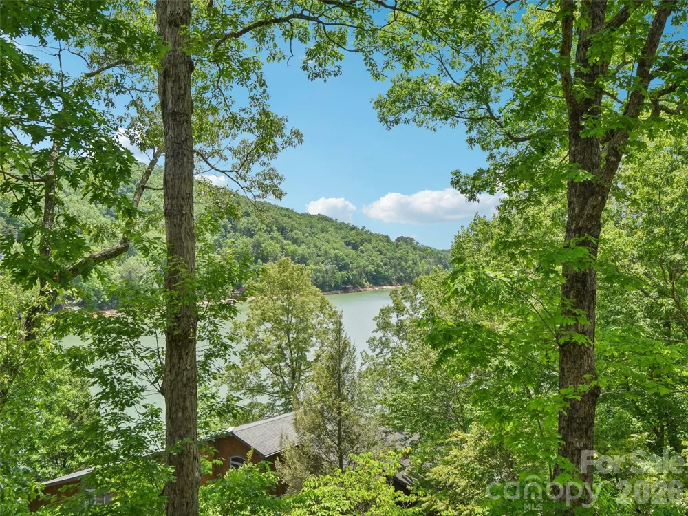 155 Quail Cove Boulevard #1601 Lake Lure, NC 28746