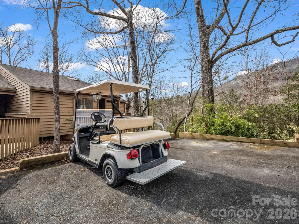 155 Quail Cove Boulevard #1601 Lake Lure, NC 28746