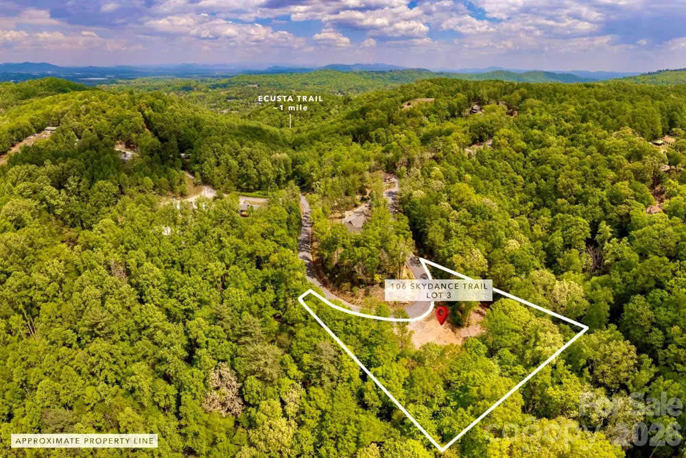 106 Skydance Trail #3 Hendersonville, NC 28739