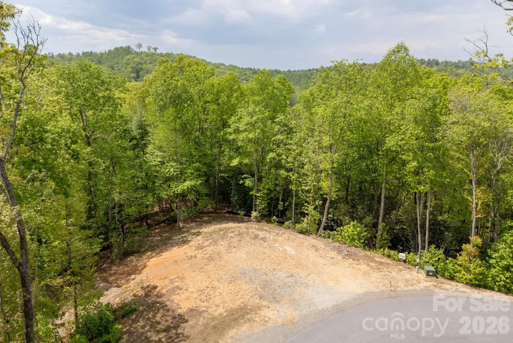 106 Skydance Trail #3 Hendersonville, NC 28739