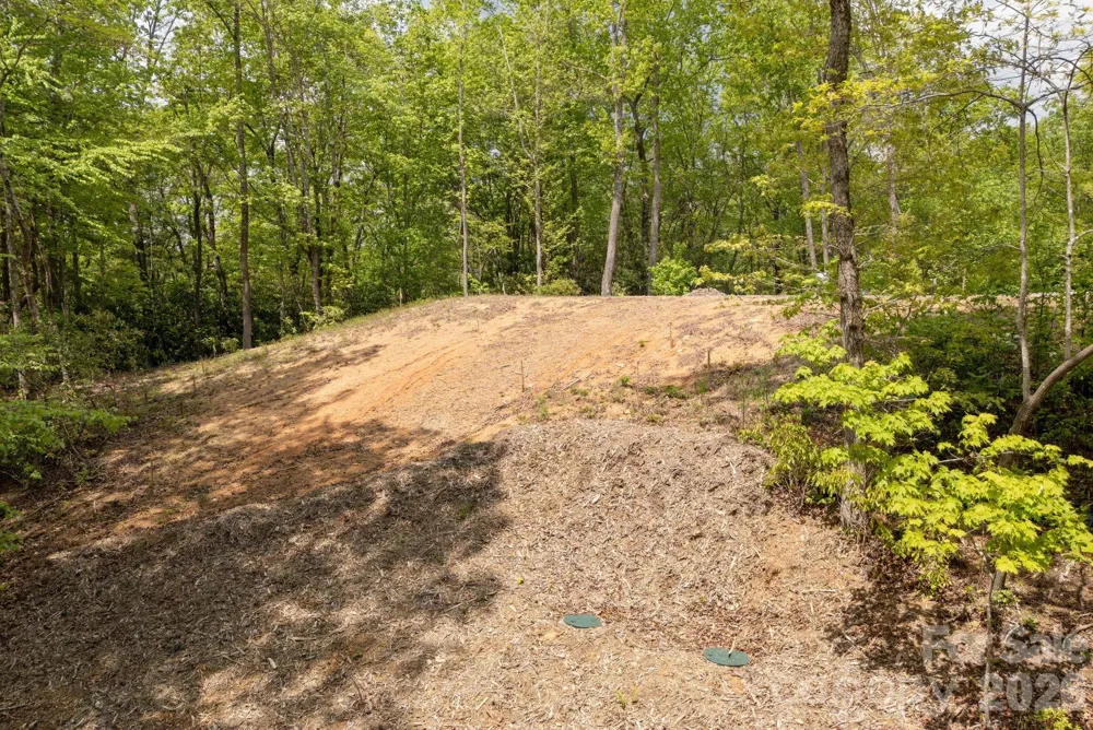 106 Skydance Trail #3 Hendersonville, NC 28739
