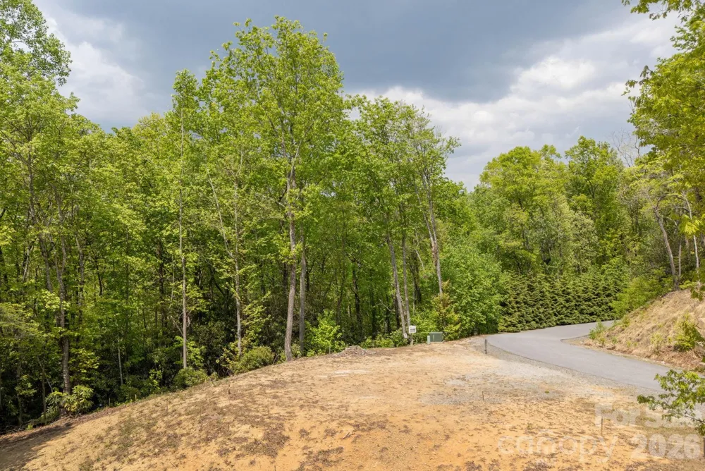 106 Skydance Trail #3 Hendersonville, NC 28739