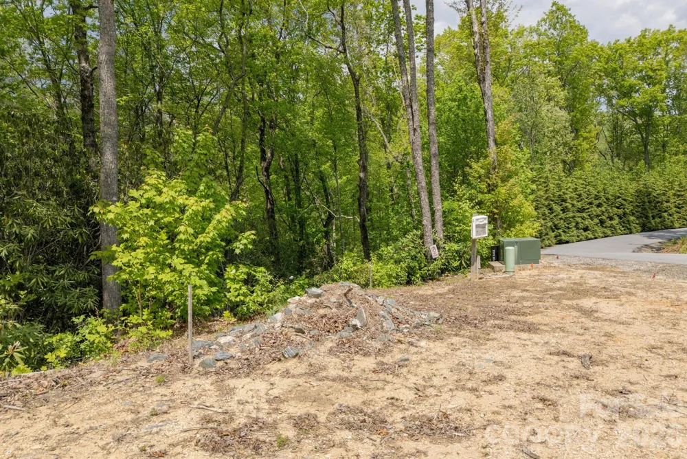 106 Skydance Trail #3 Hendersonville, NC 28739