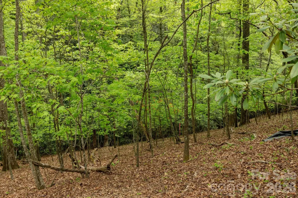 106 Skydance Trail #3 Hendersonville, NC 28739