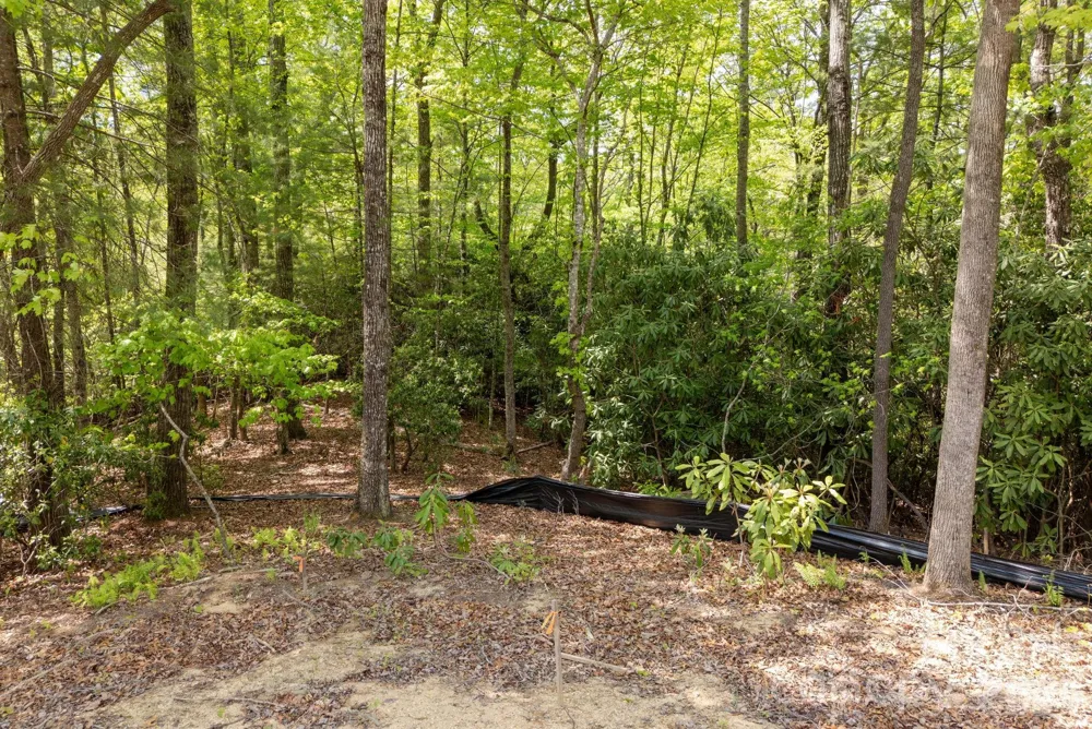 106 Skydance Trail #3 Hendersonville, NC 28739
