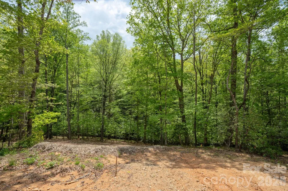 106 Skydance Trail #3 Hendersonville, NC 28739