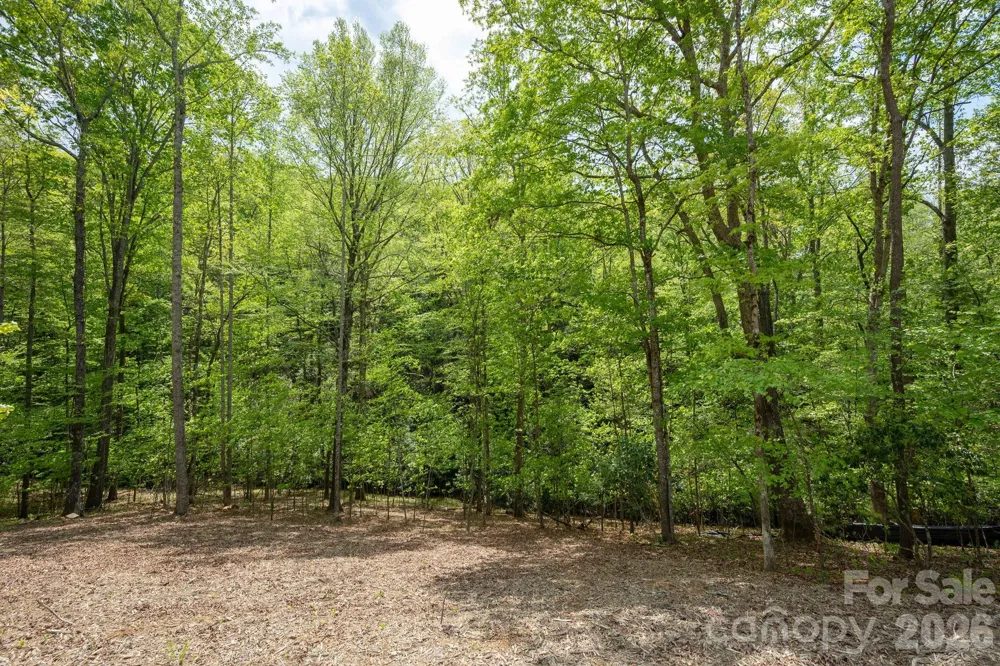 106 Skydance Trail #3 Hendersonville, NC 28739