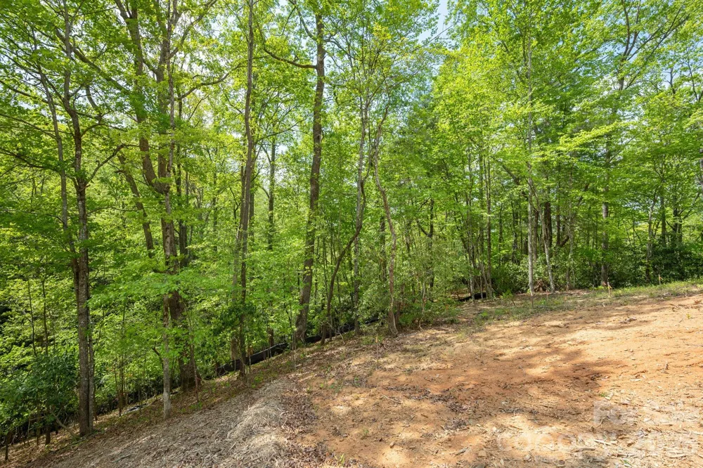 106 Skydance Trail #3 Hendersonville, NC 28739