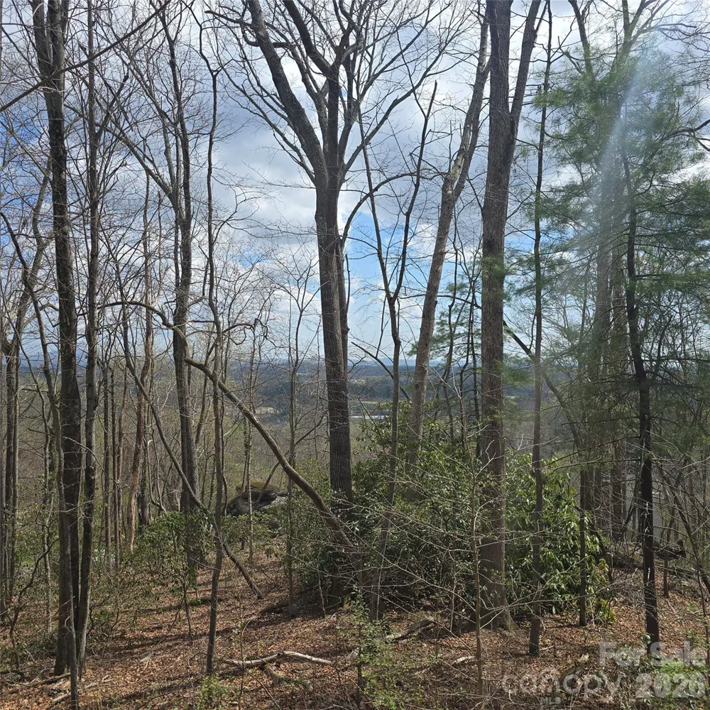 185 Garnet Way #Lot 13 Hendersonville, NC 28791