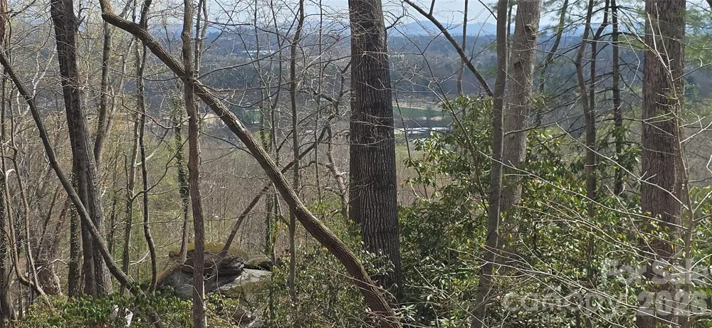 185 Garnet Way #Lot 13 Hendersonville, NC 28791
