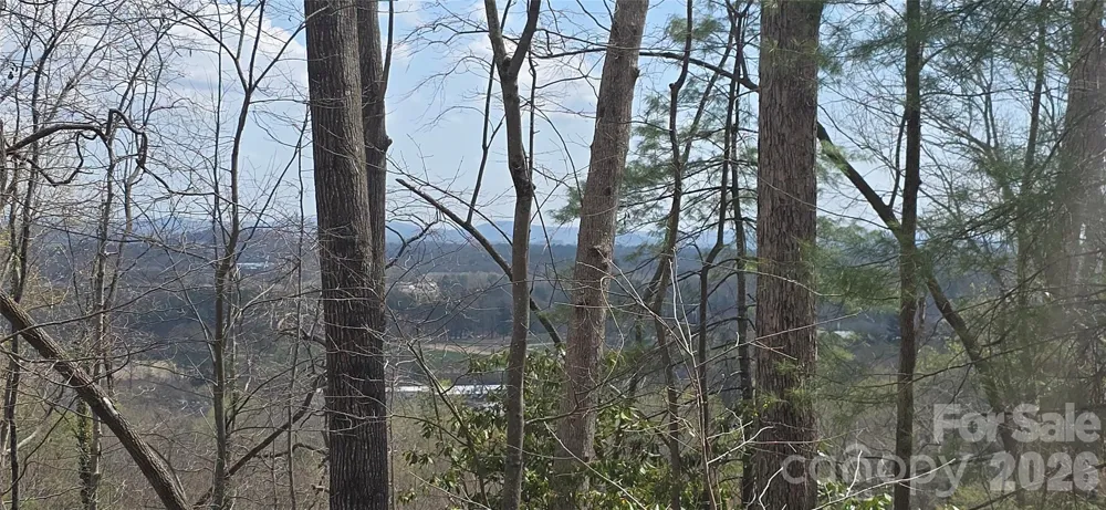 185 Garnet Way #Lot 13 Hendersonville, NC 28791