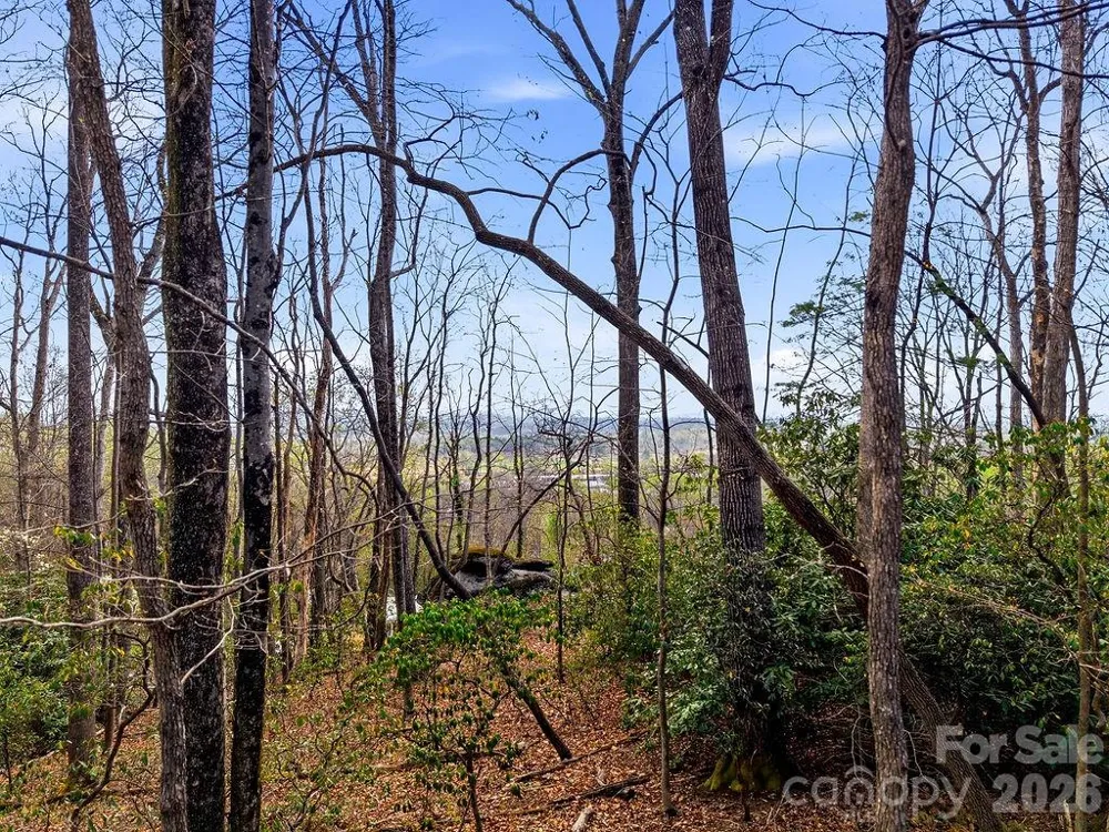 185 Garnet Way #Lot 13 Hendersonville, NC 28791
