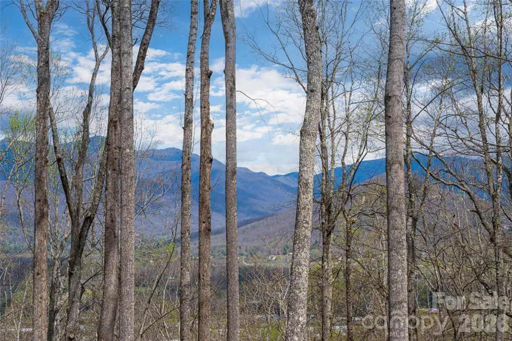51 Summit Road Swannanoa, NC 28778
