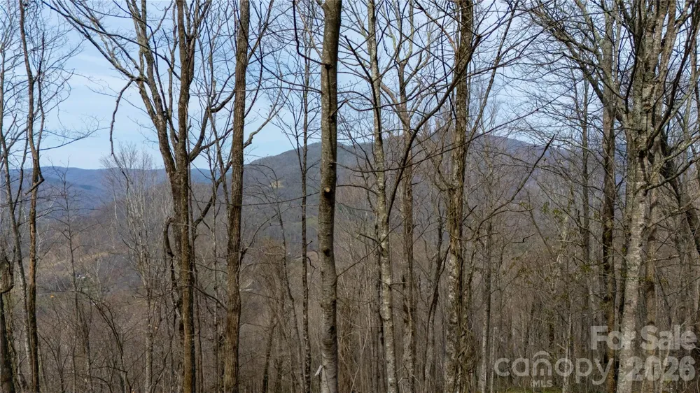 000 Tyler Lane Bakersville, NC 28705