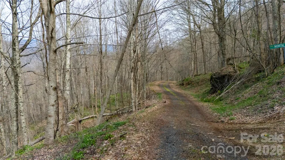 000 Tyler Lane Bakersville, NC 28705