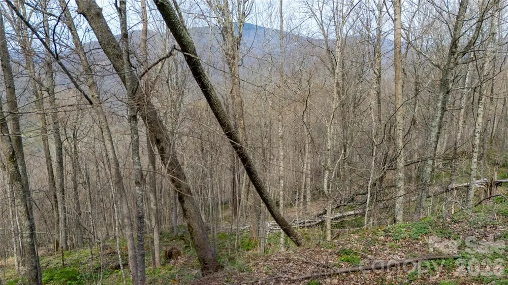 000 Tyler Lane Bakersville, NC 28705