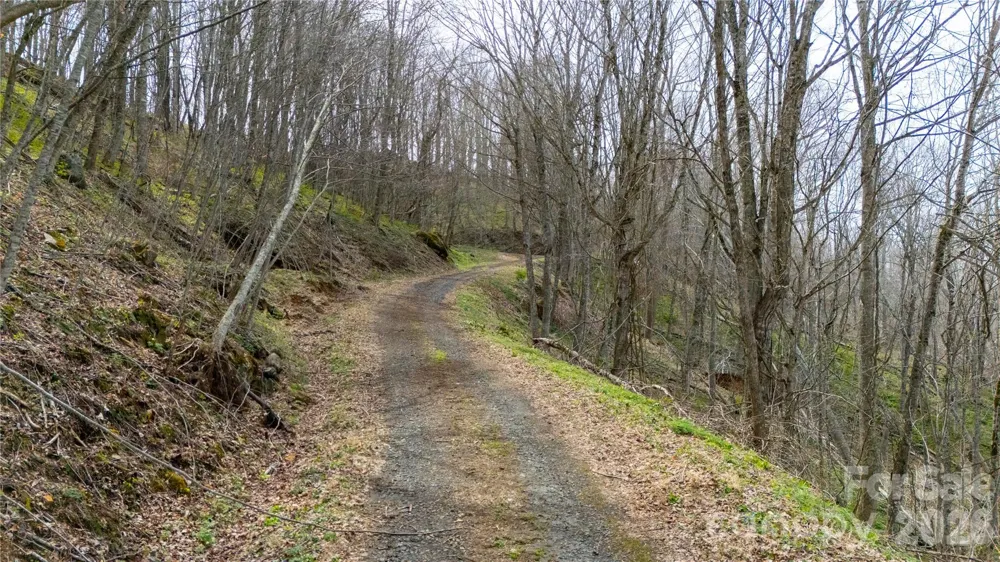 000 Tyler Lane Bakersville, NC 28705