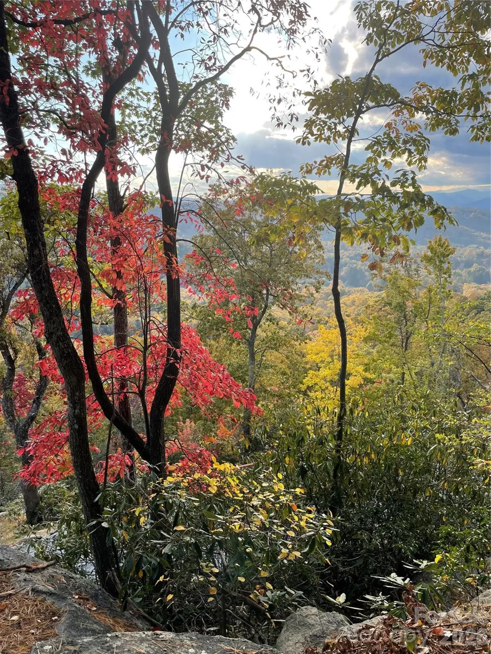 E11 Marble Heights Trail Hendersonville, NC 28791