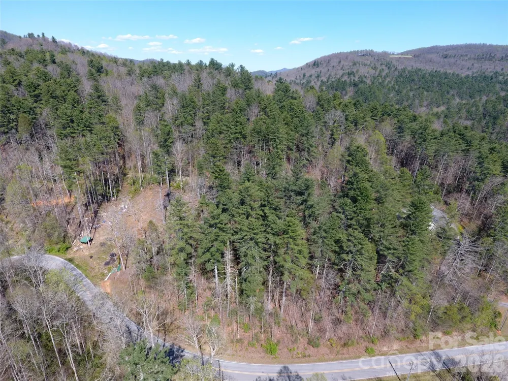 0000 Rock Creek Road Zirconia, NC 28790