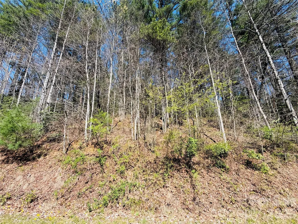 0000 Rock Creek Road Zirconia, NC 28790