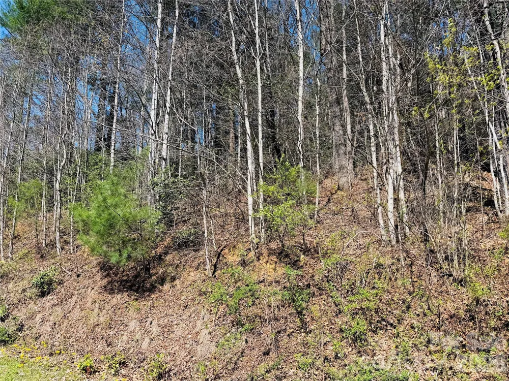 0000 Rock Creek Road Zirconia, NC 28790