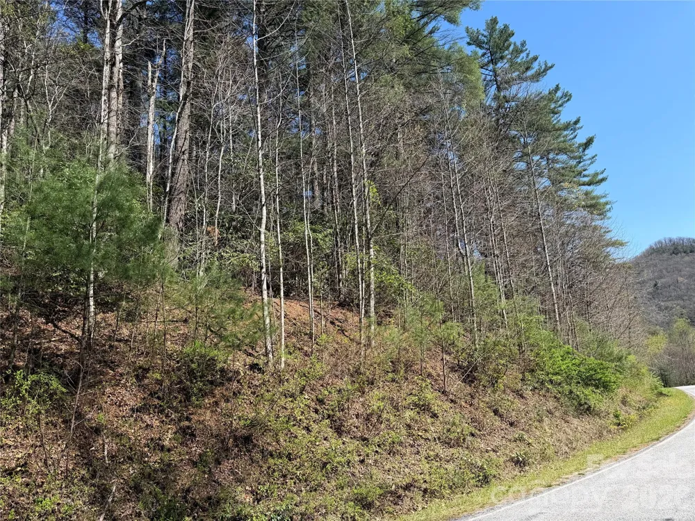 0000 Rock Creek Road Zirconia, NC 28790