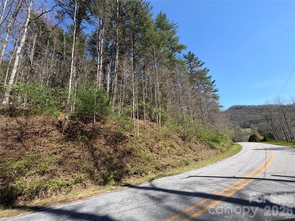 0000 Rock Creek Road Zirconia, NC 28790