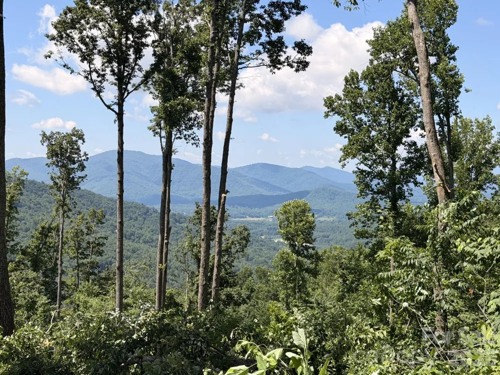 588 Long Branch Road Swannanoa, NC 28778
