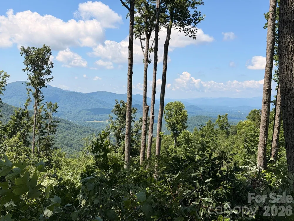 588 Long Branch Road Swannanoa, NC 28778