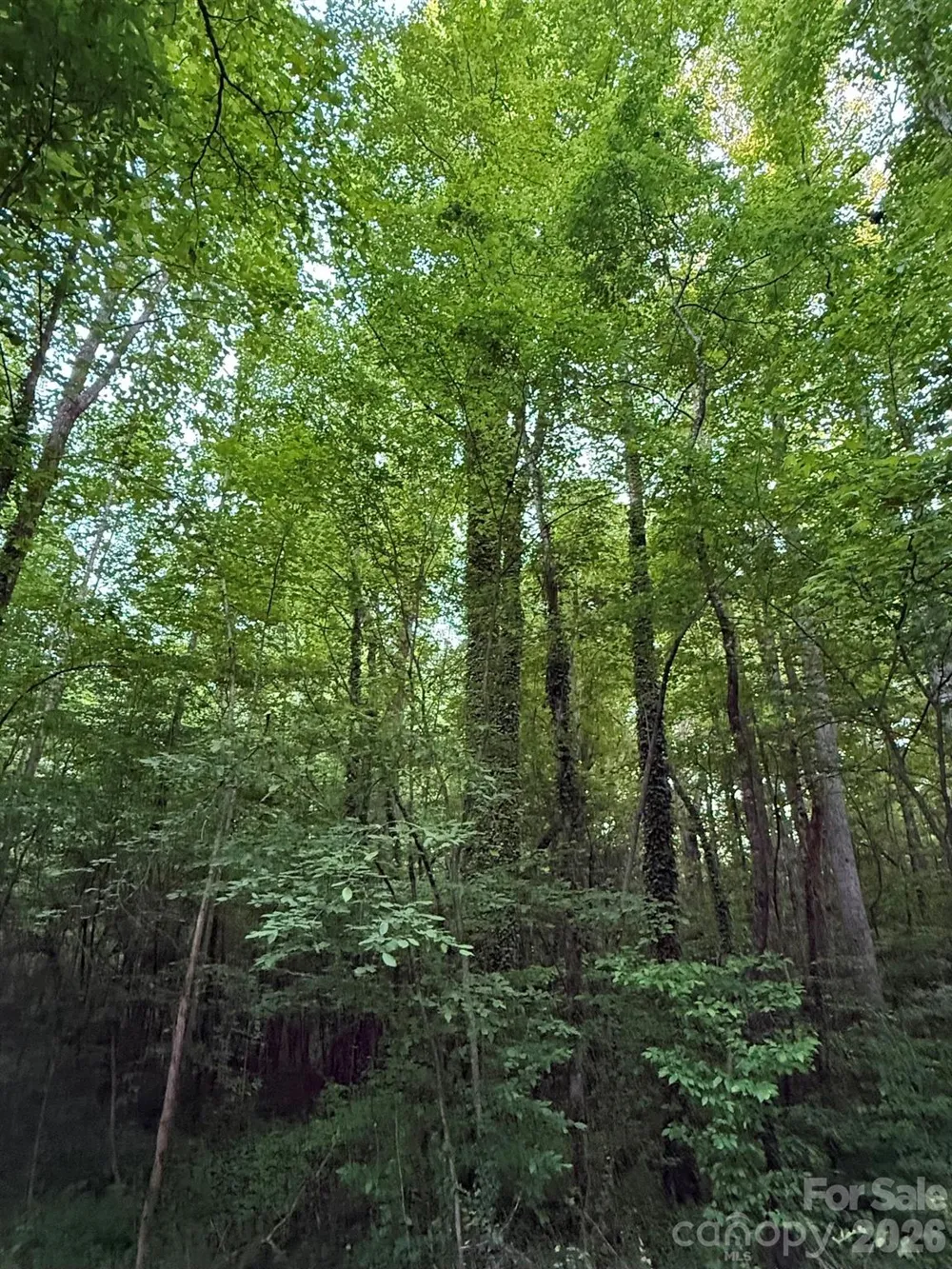 00 Winterhaven Road Road #4 Taylorsville, NC 28681