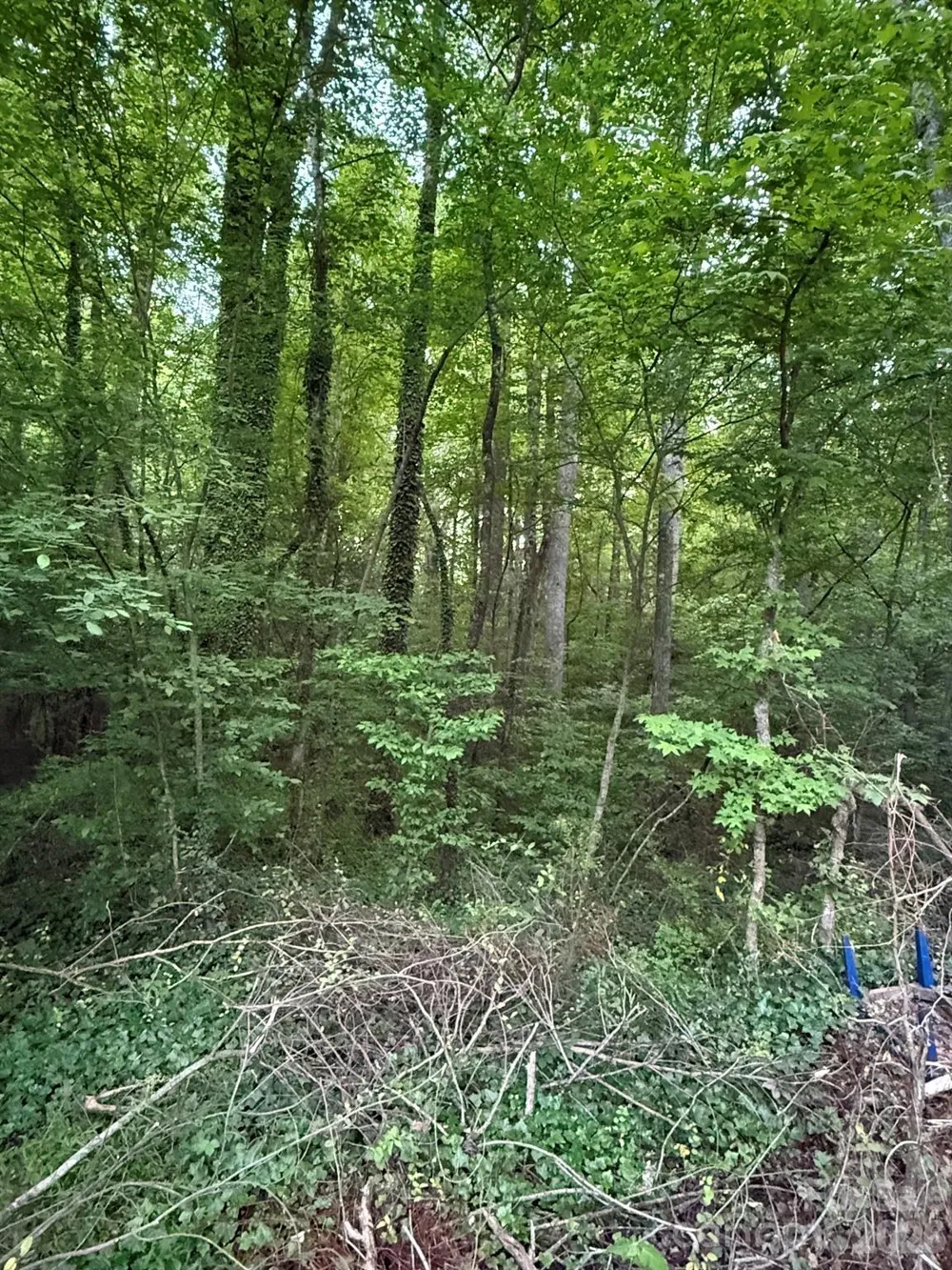 00 Winterhaven Road Road #4 Taylorsville, NC 28681
