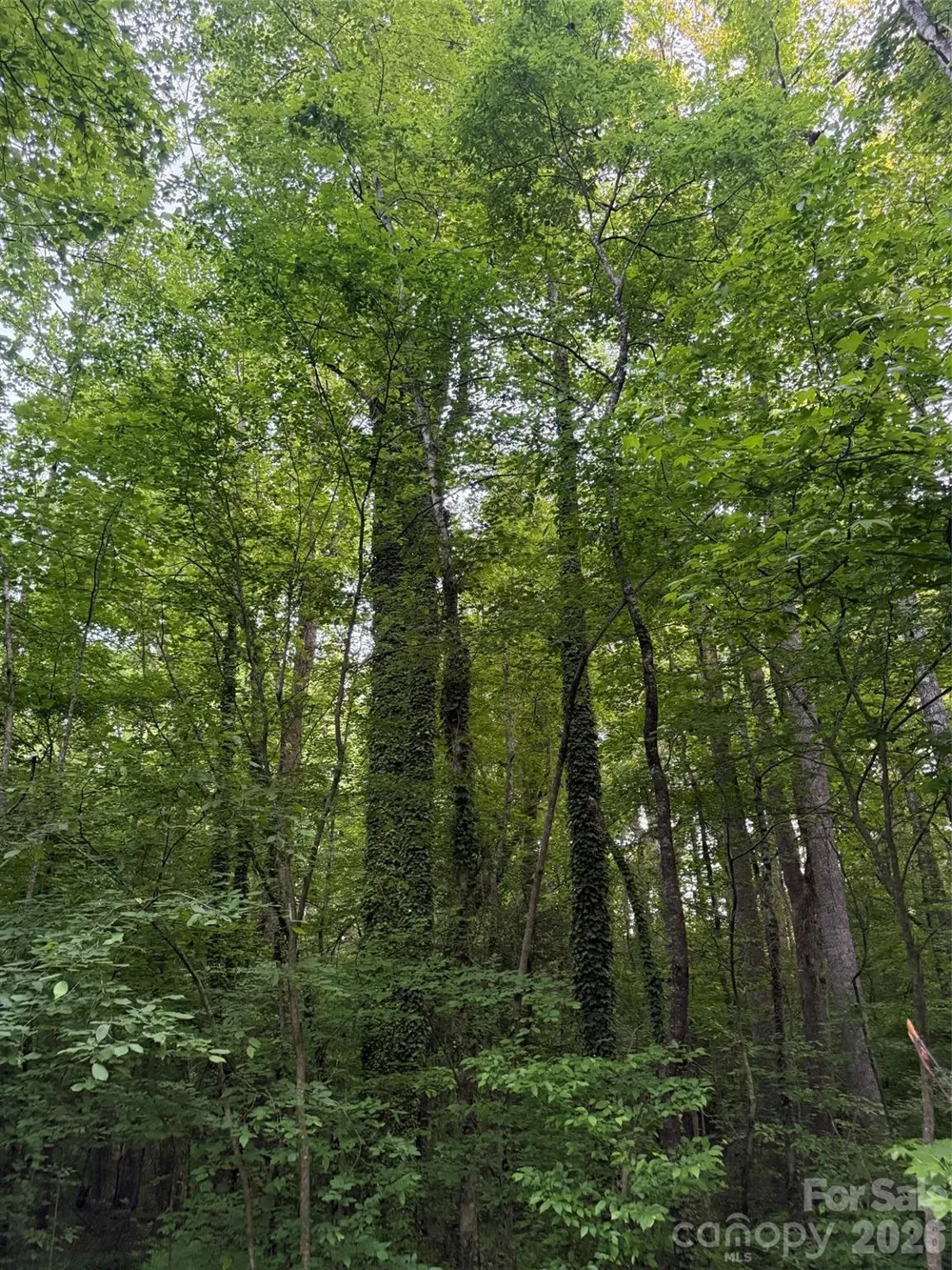 00 Winterhaven Road Road #4 Taylorsville, NC 28681
