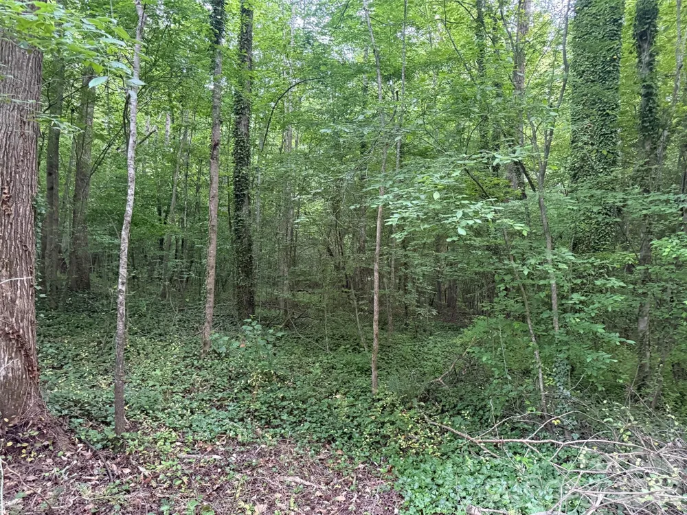 00 Winterhaven Road Road #4 Taylorsville, NC 28681