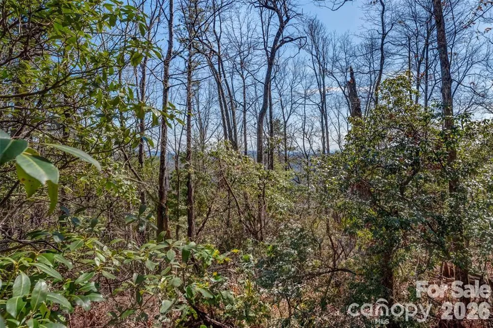 TBD Loganberry Lane Lake Toxaway, NC 28747