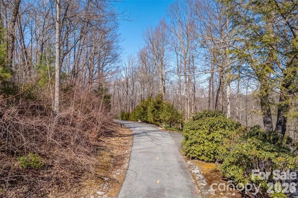 TBD Loganberry Lane Lake Toxaway, NC 28747
