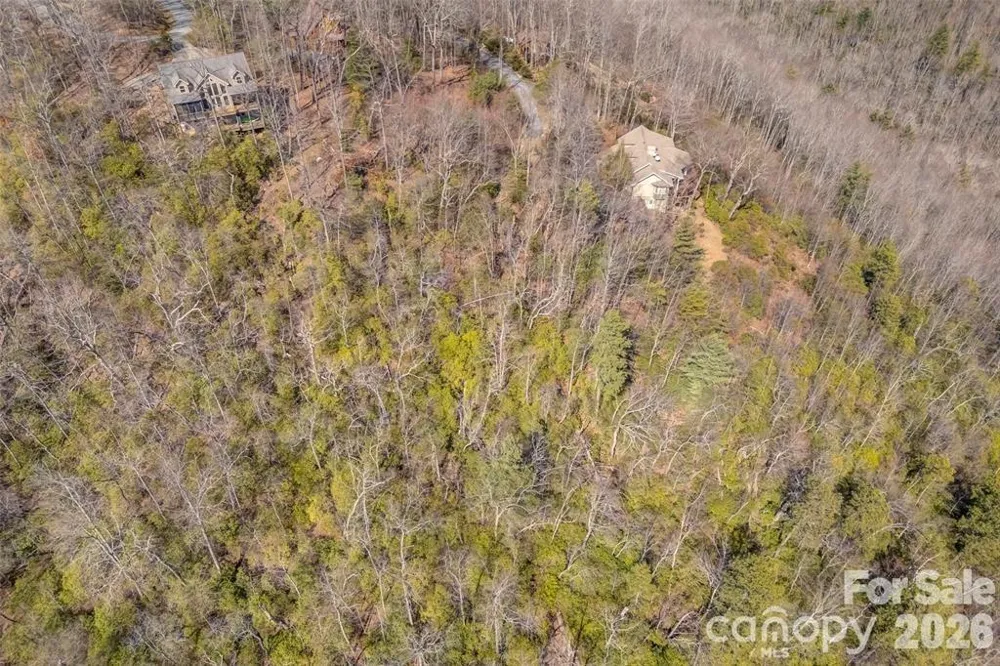 TBD Loganberry Lane Lake Toxaway, NC 28747