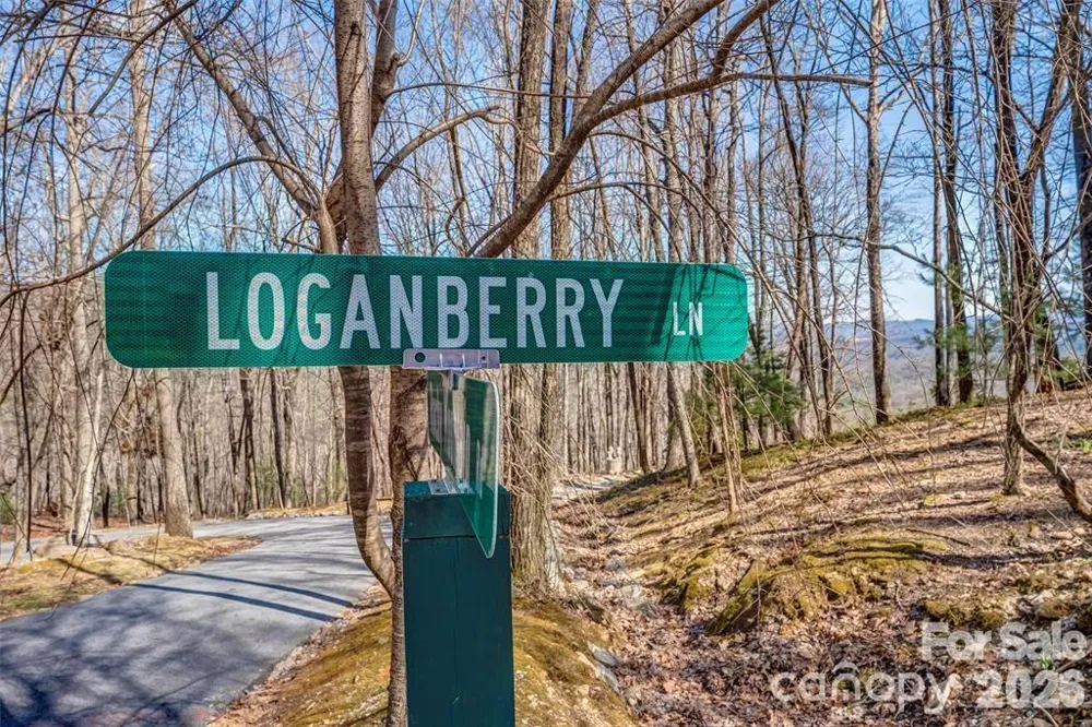 TBD Loganberry Lane Lake Toxaway, NC 28747