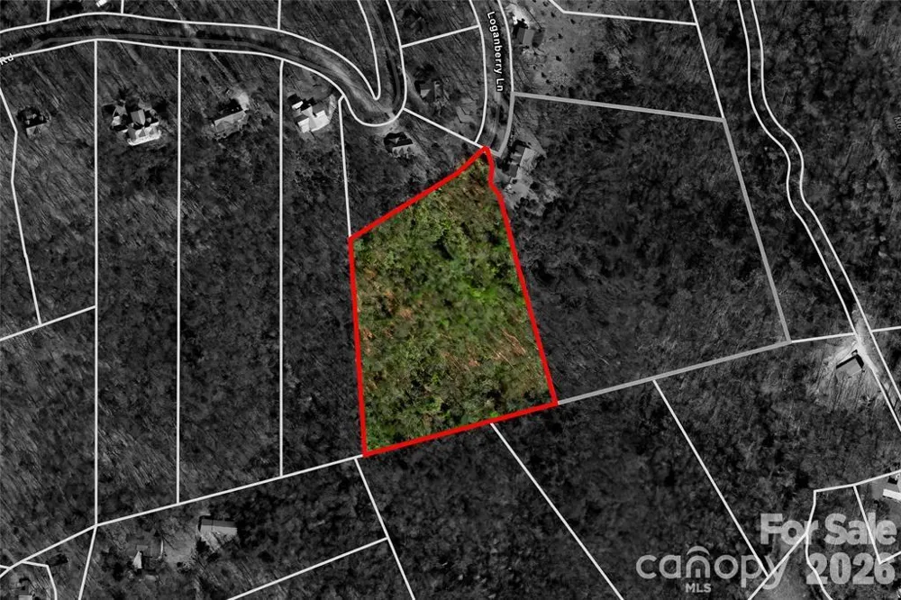 TBD Loganberry Lane Lake Toxaway, NC 28747