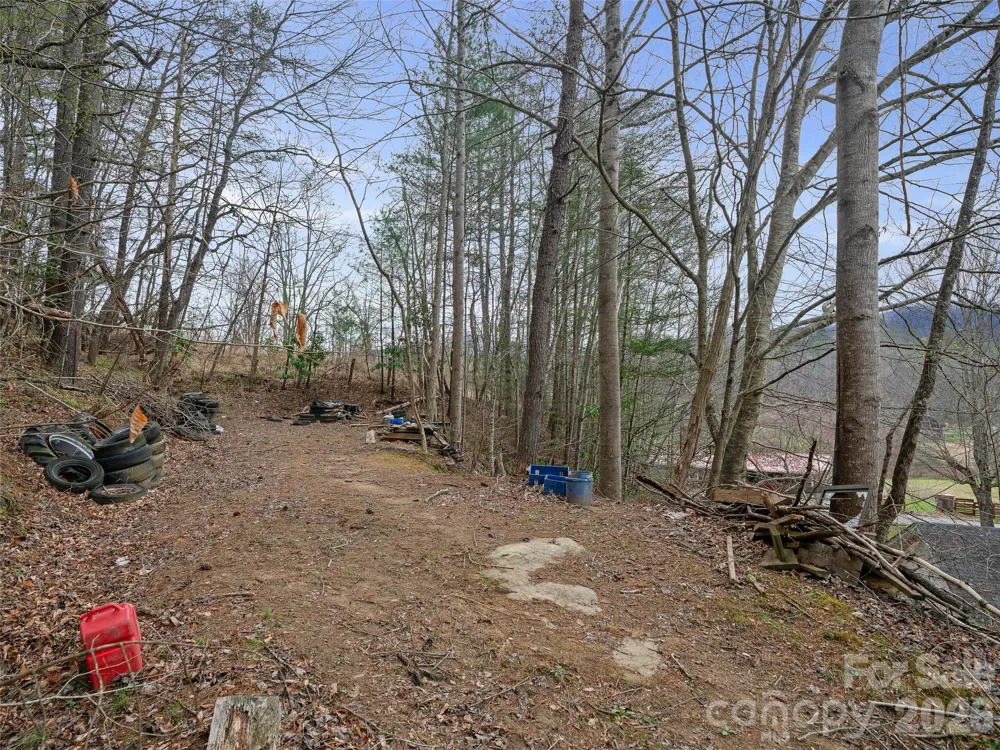 2432 Grapevine Road Marshall, NC 28753