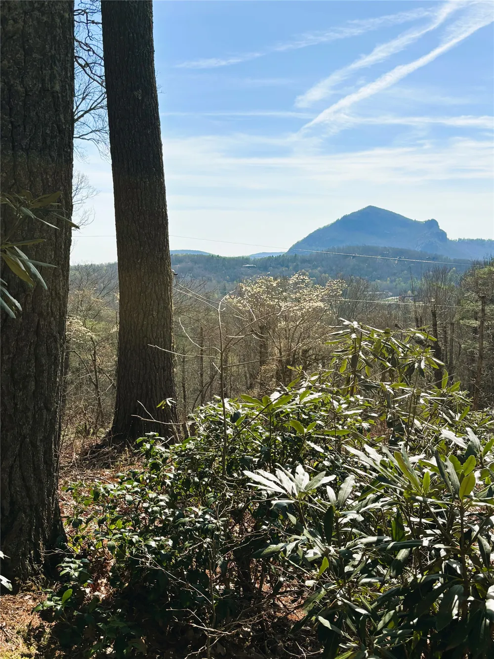 12 Watch Hill Lane Cashiers, NC 28717