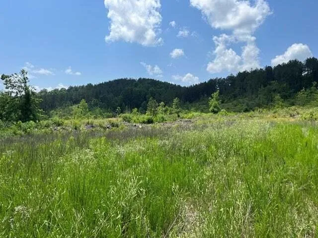 County Road Athens, TN 37303