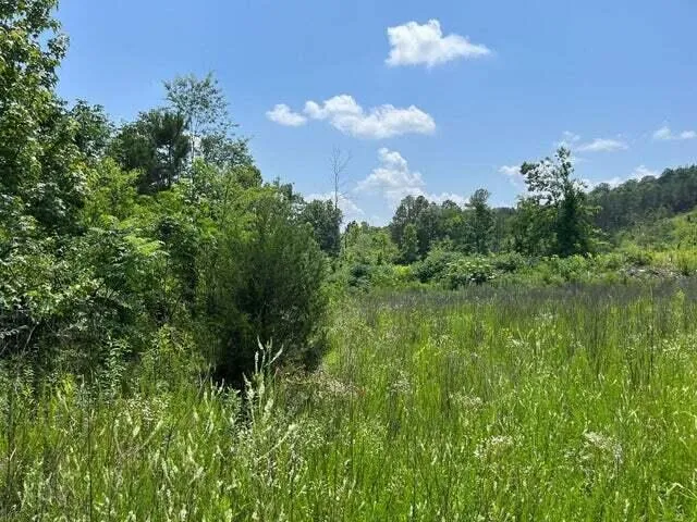 County Road Athens, TN 37303