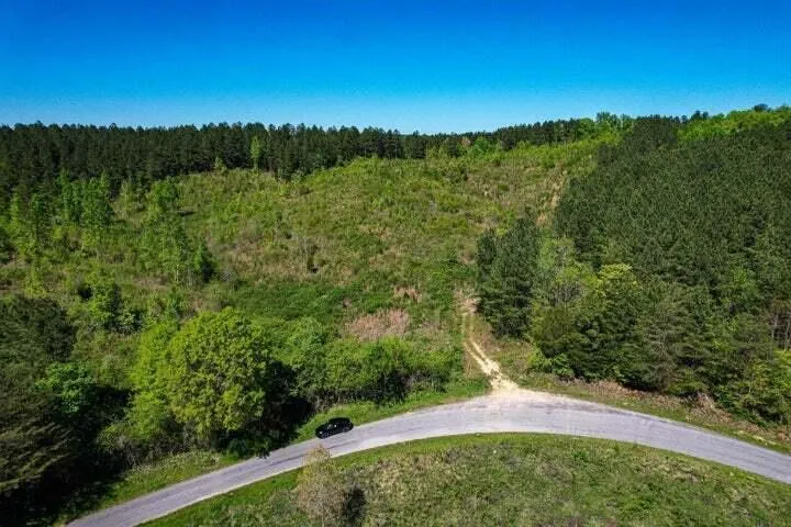 Sneed Road Decatur, TN 37322