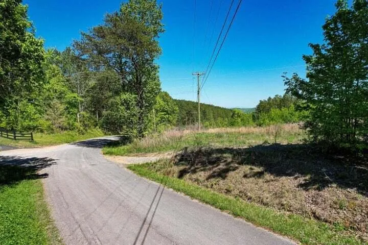 Sneed Road Decatur, TN 37322