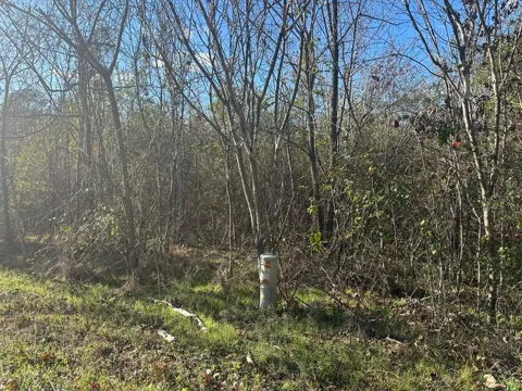 Mt Carmel Road