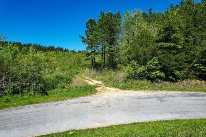 Cottonport Road Decatur, TN 37322