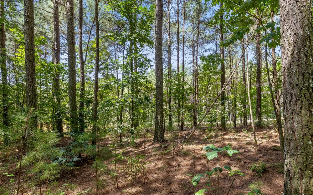 2225 High Ground Road Guild, TN 37340