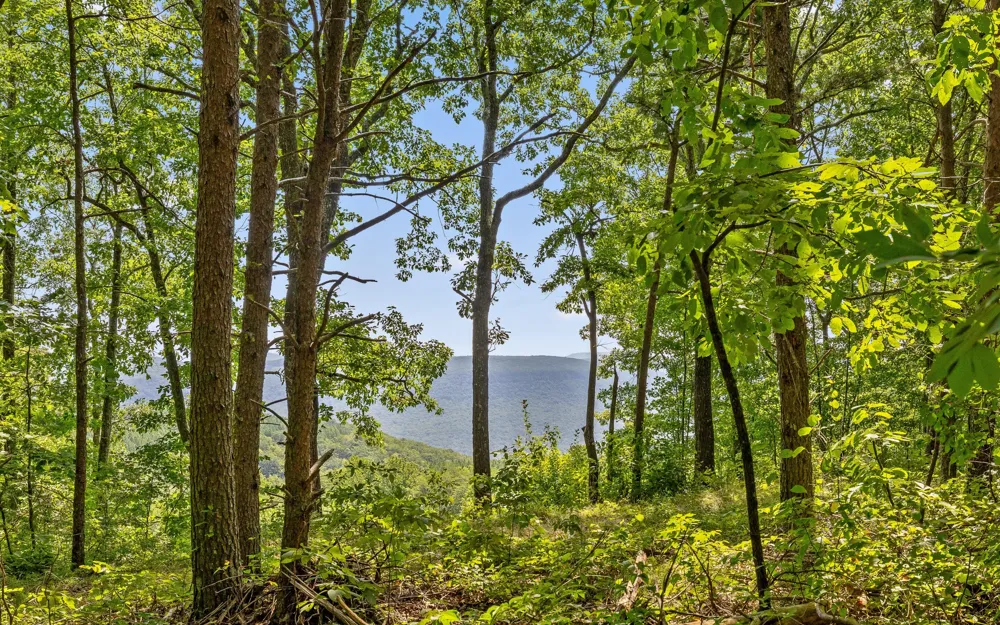 2225 High Ground Road Guild, TN 37340